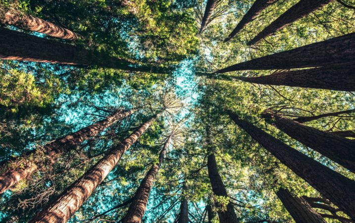Sustainability at Canatu