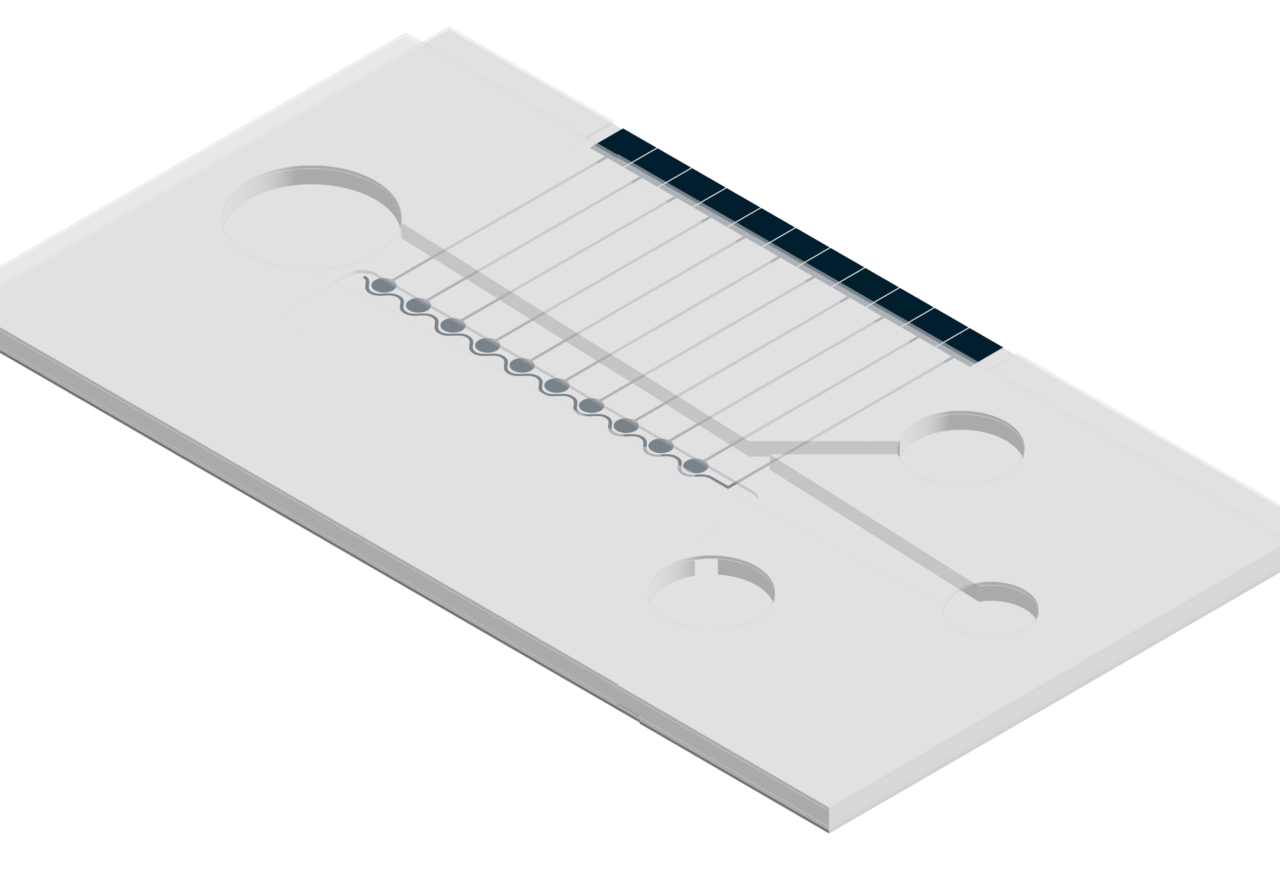 Lab on a chip